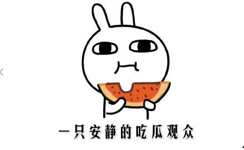 啥是吃瓜呀,网络热词背后的文化现象